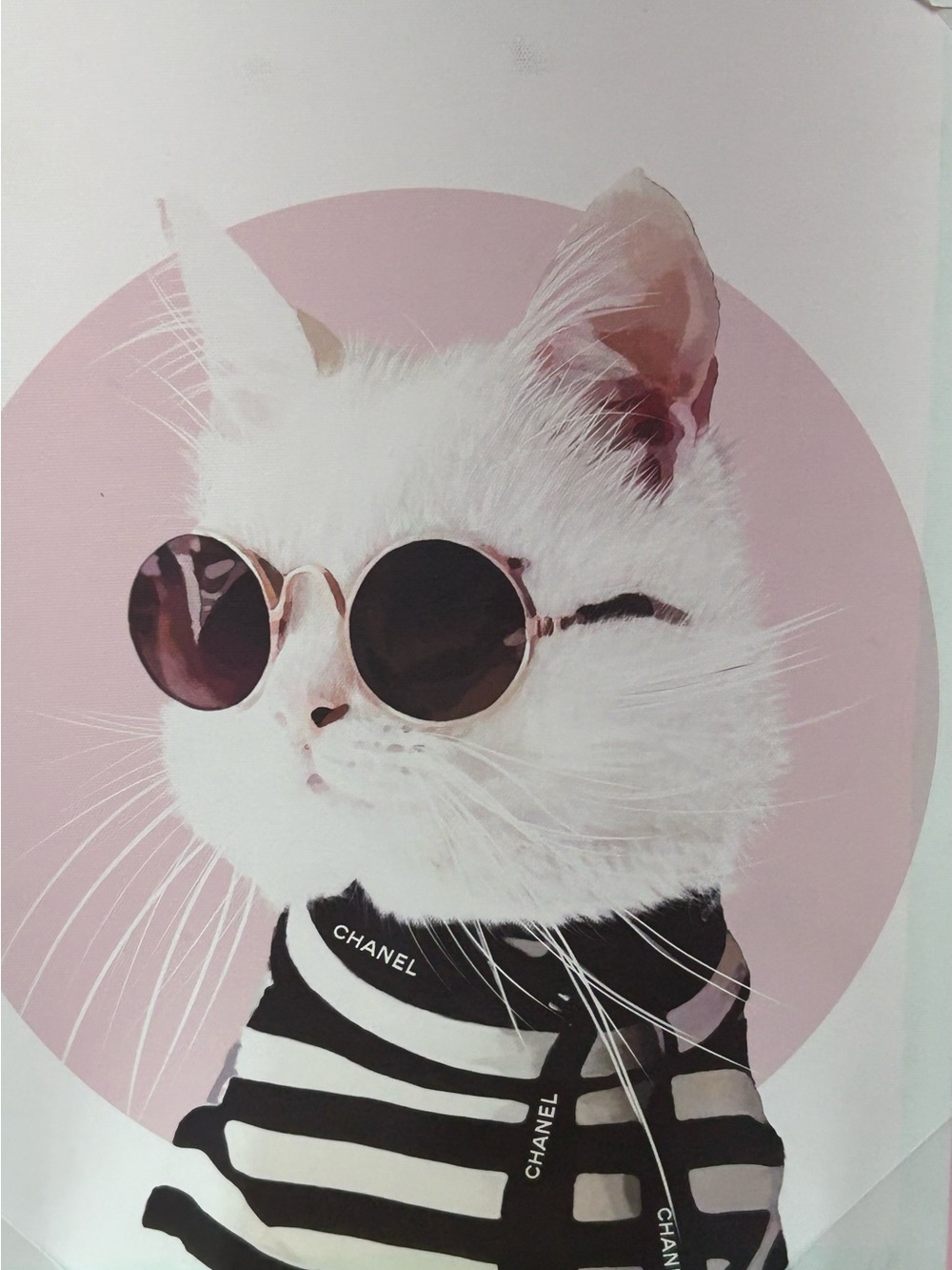 Black & White Striped Cat Bandana w/Pink Sunglasses Approx. 12 x 16 x 1